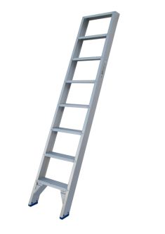 Solide Enkele ladder 9 platte treden
